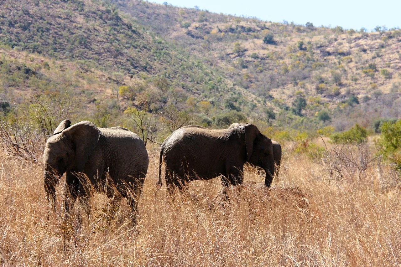 A highly detailed render of a futuristic starship docking bay bathed in blue and purple light.