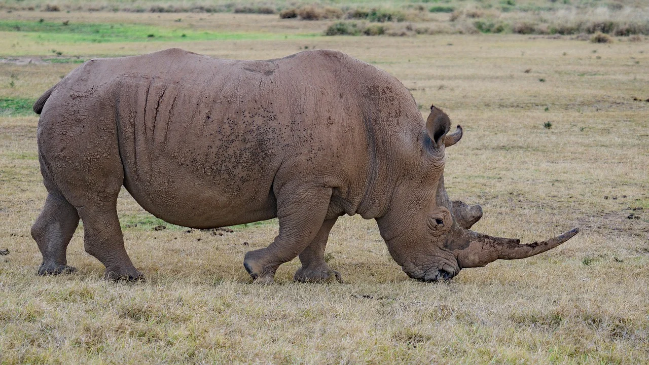 Highly detailed macro shot of an intricately designed futuristic gauntlet glowing with internal emerald green energy.